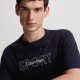 Calvin Klein Ανδρική κοντομάνικη μπλούζα Logo Gym T-Shirt